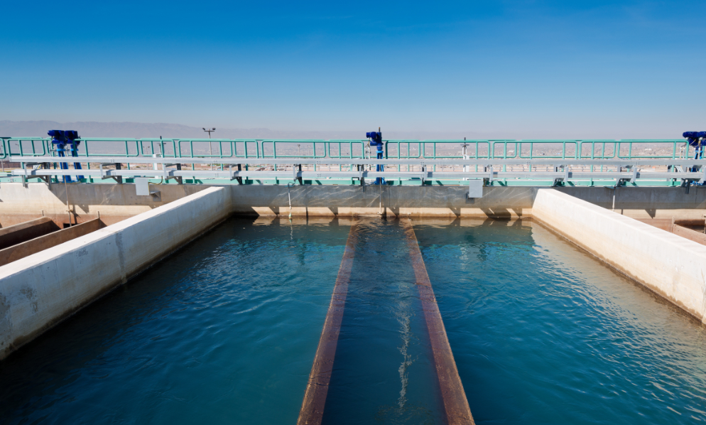 1683183023773087100.png 1.png