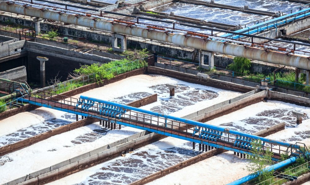 1683183059536089197.png 6.png