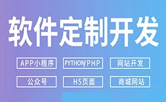 軟件定制開發(fā)