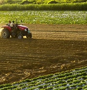 國民經(jīng)濟(jì) | 農(nóng)業(yè)技術(shù)體系